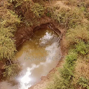 Emergency Quick Sale 156 Acres Nkooito