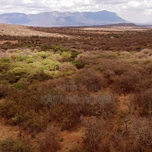 Emergency Quick Sale 156 Acres Nkooito