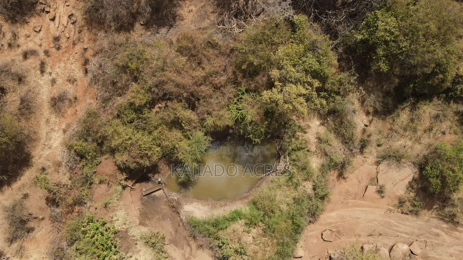 Emergency Quick Sale 156 Acres Nkooito