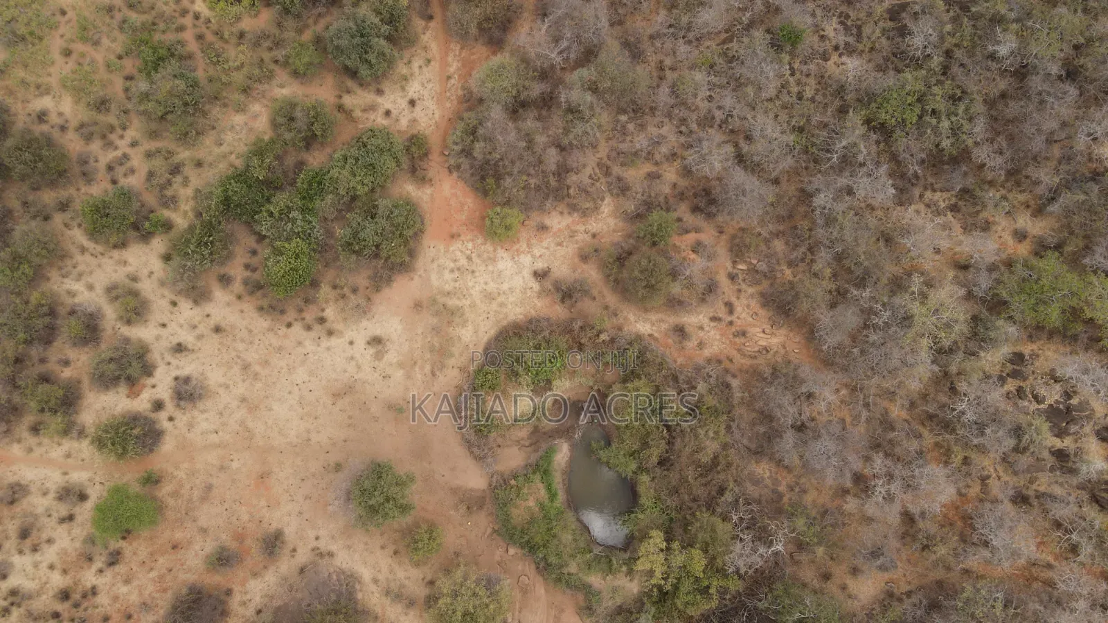 Emergency Quick Sale 156 Acres Nkooito