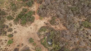 Emergency Quick Sale 156 Acres Nkooito