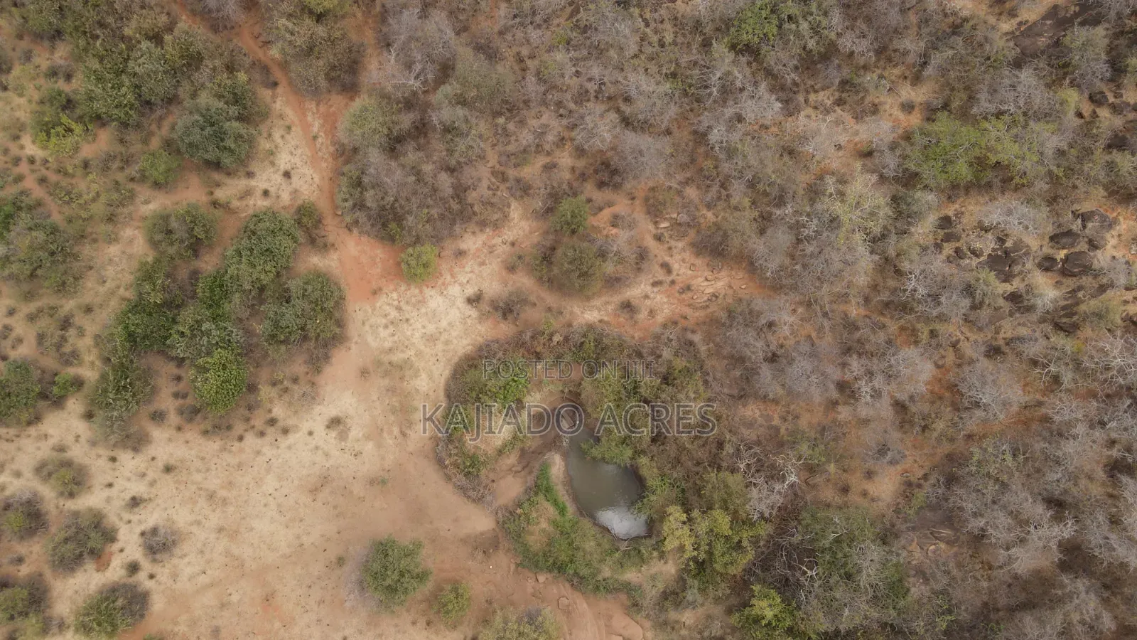 Emergency Quick Sale 156 Acres Nkooito