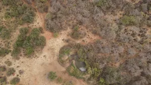 Emergency Quick Sale 156 Acres Nkooito