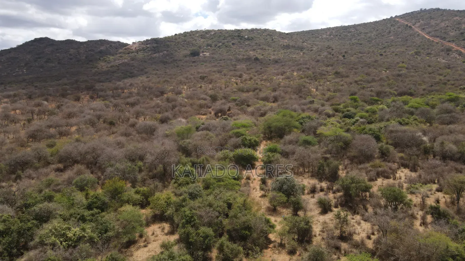 Emergency Quick Sale 156 Acres Nkooito