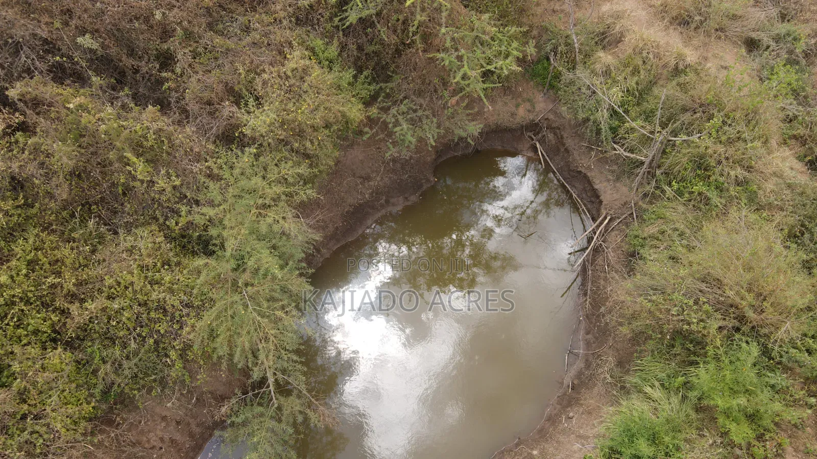 Emergency Quick Sale 156 Acres Nkooito