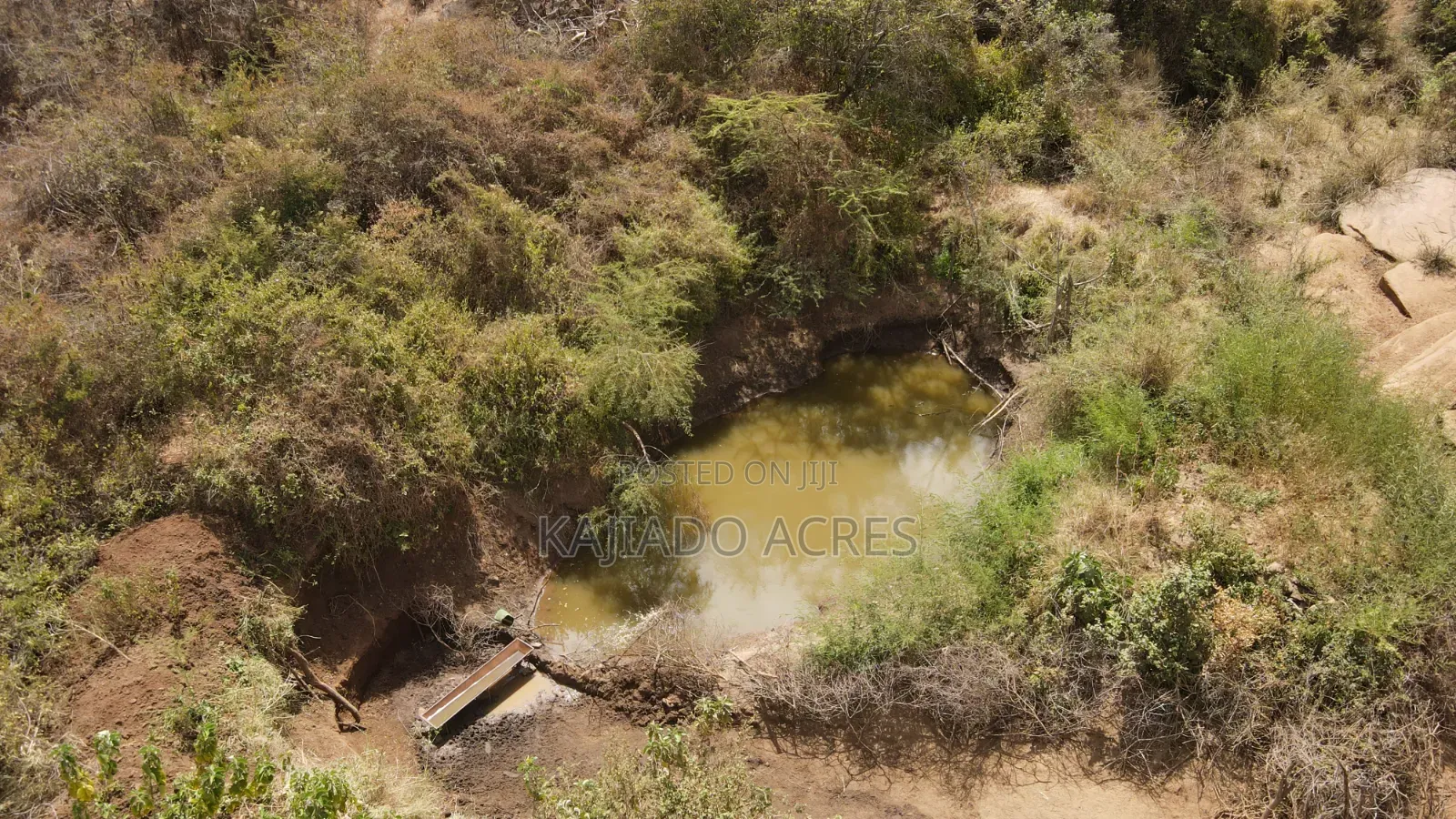 Emergency Quick Sale 156 Acres Nkooito