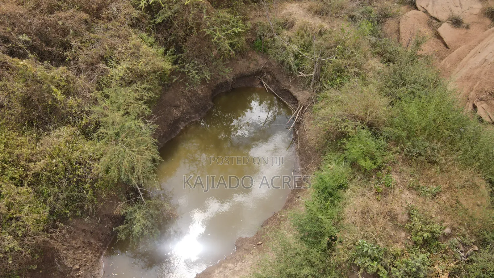 Emergency Quick Sale 156 Acres Nkooito