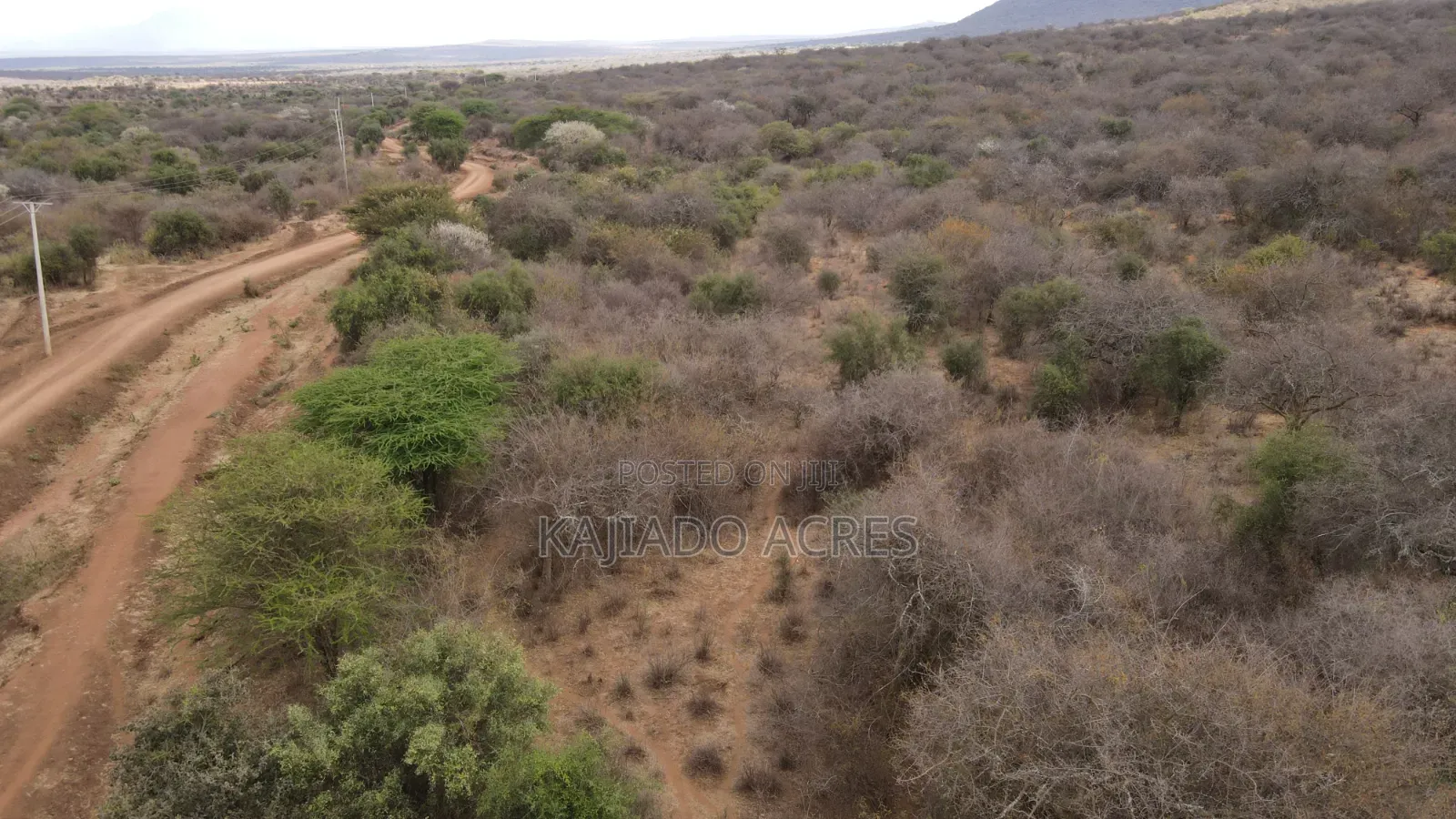 Emergency Quick Sale 156 Acres Nkooito