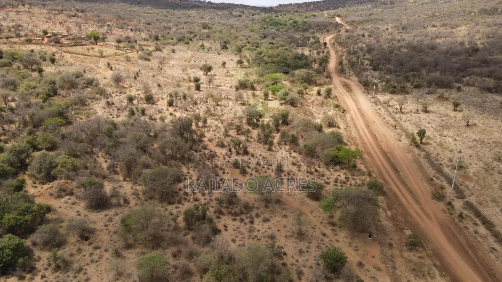 Emergency Quick Sale 156 Acres Nkooito