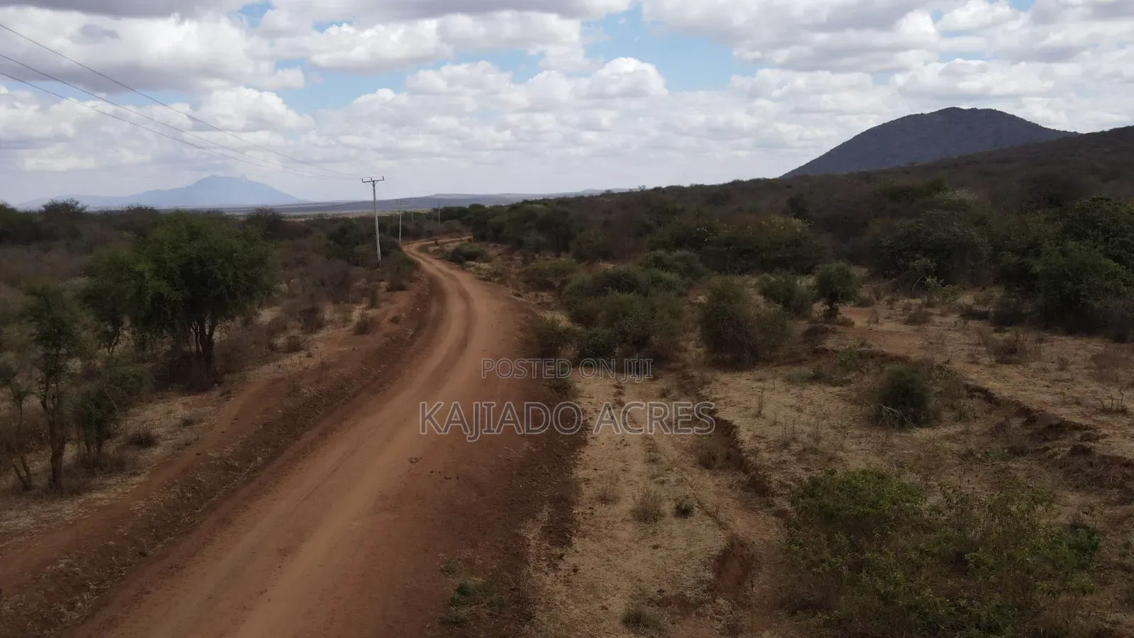 Emergency Quick Sale 156 Acres Nkooito