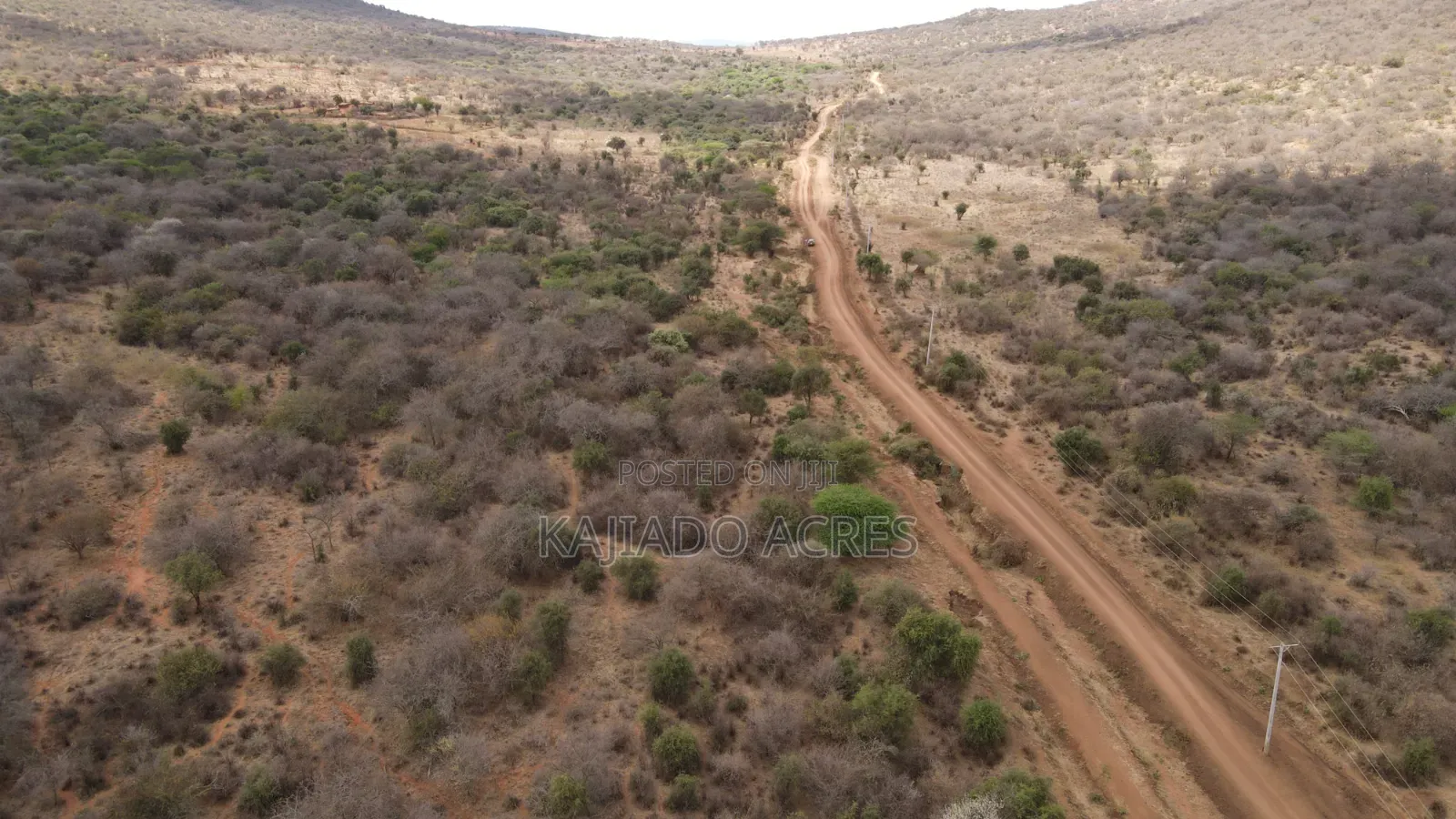 Emergency Quick Sale 156 Acres Nkooito