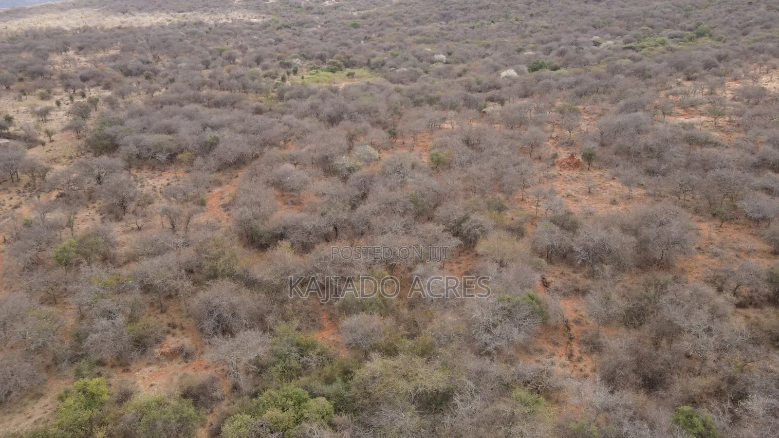 Emergency Quick Sale 156 Acres Nkooito