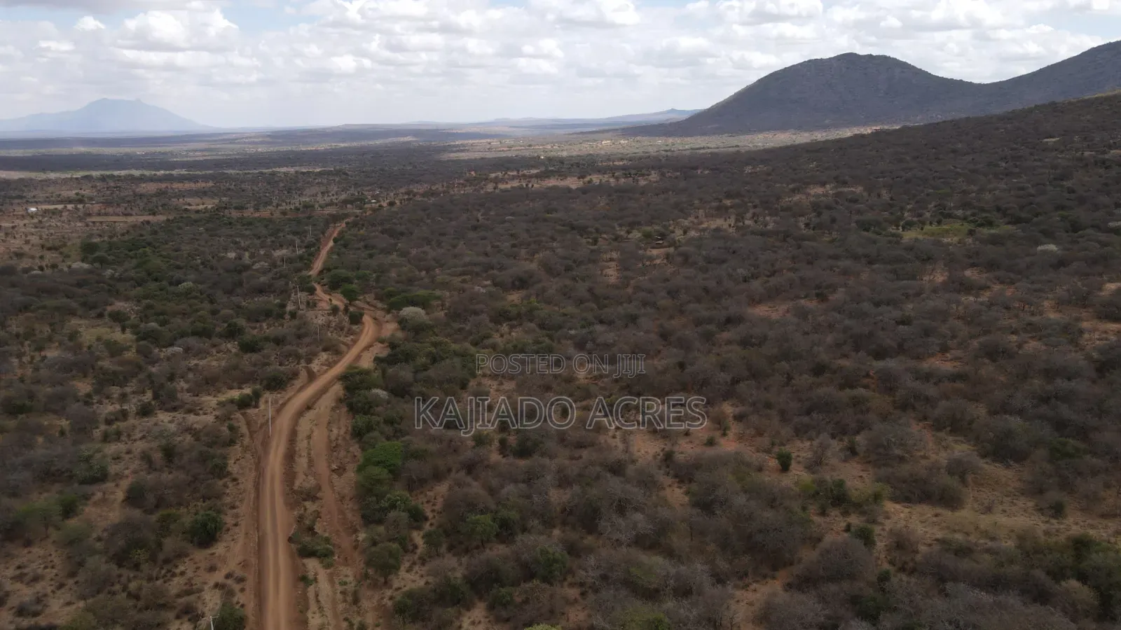 Emergency Quick Sale 156 Acres Nkooito
