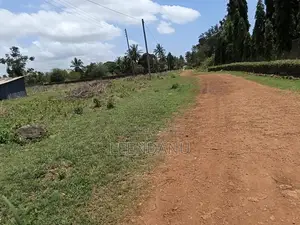 1/4 Acre Plot for Sale