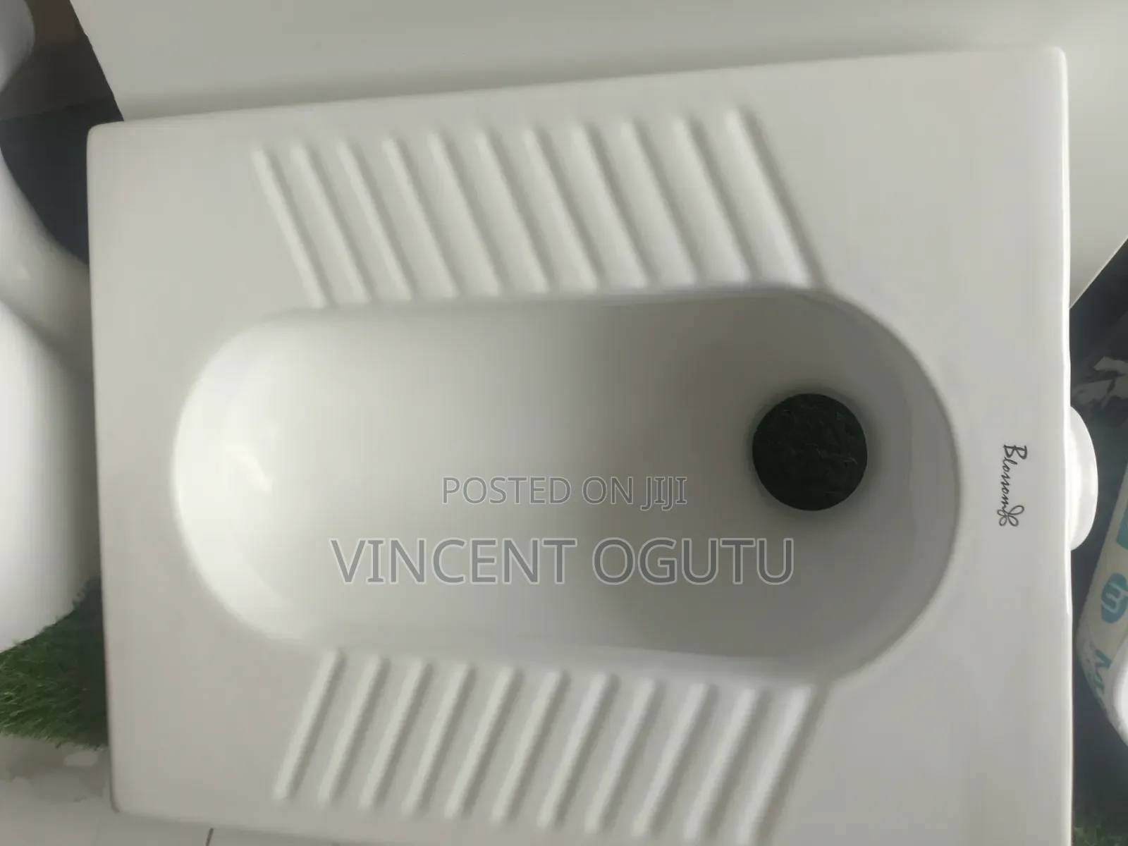 Step Toilet