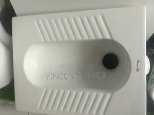 Step Toilet