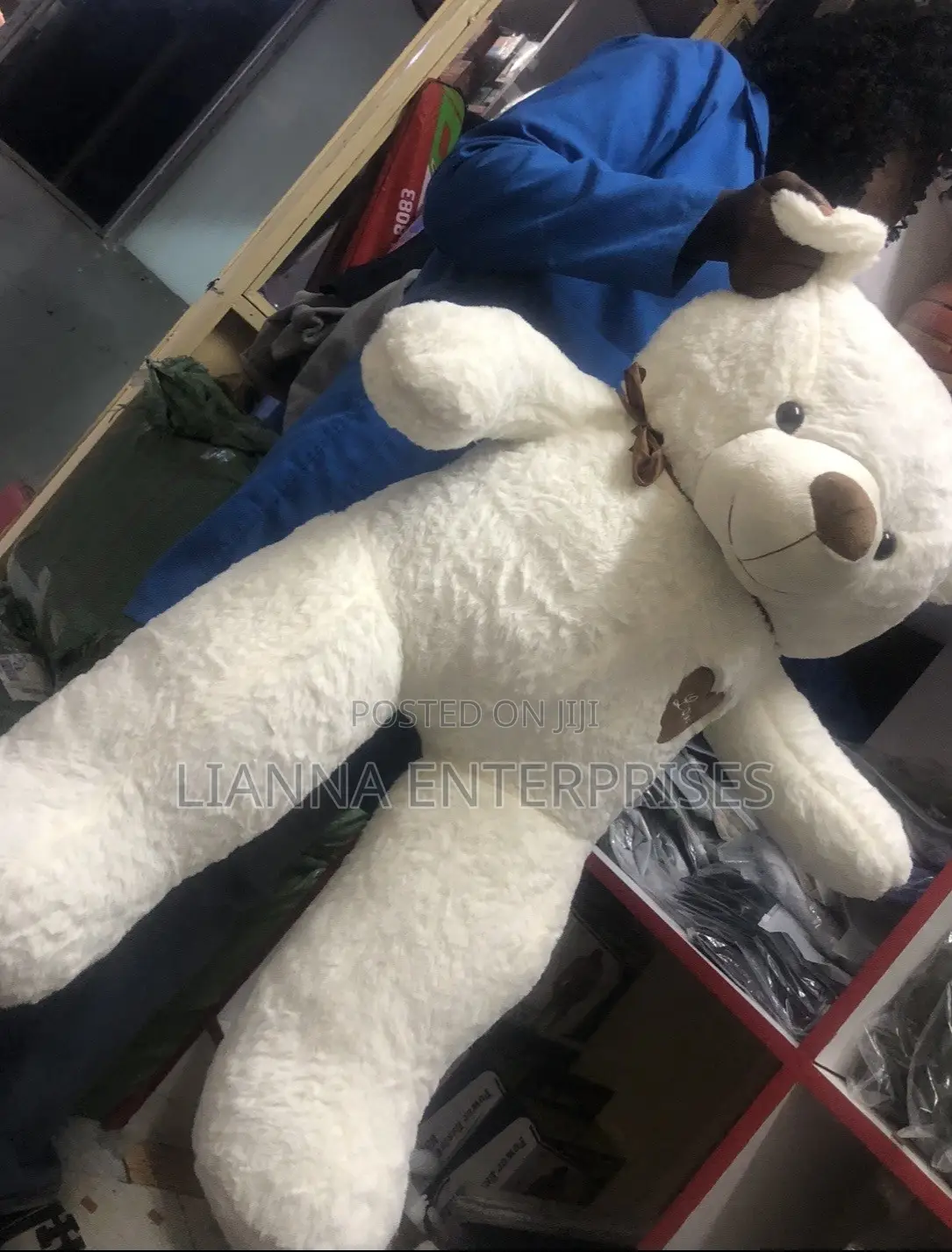 White Teddy Bear