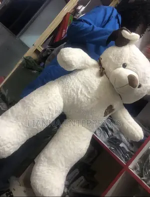 White Teddy Bear
