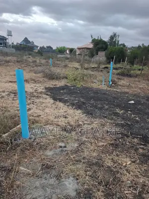 50x100 Corner Plot for Sale Syokimau