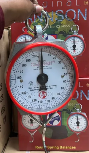 Crane 100kg Weighing Scale
