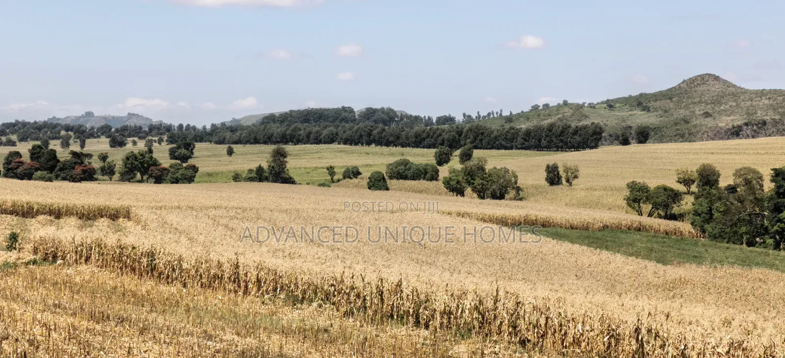 550 Acres of Land for Sale – Subukia, Nakuru