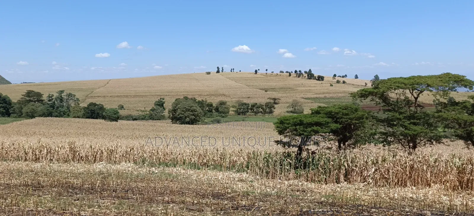 550 Acres of Land for Sale – Subukia, Nakuru