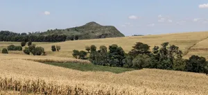 550 Acres of Land for Sale – Subukia, Nakuru