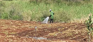 550 Acres of Land for Sale – Subukia, Nakuru