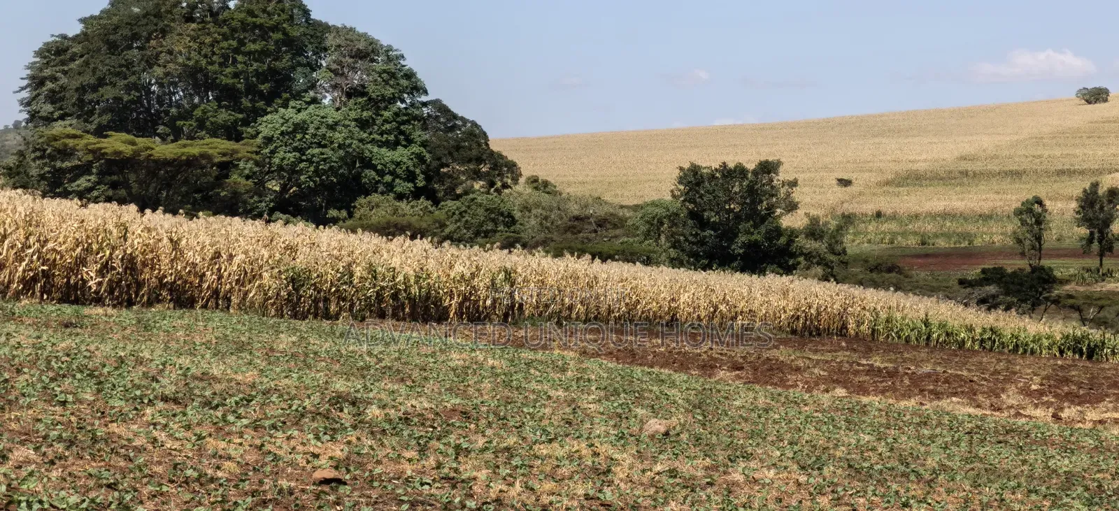 550 Acres of Land for Sale – Subukia, Nakuru