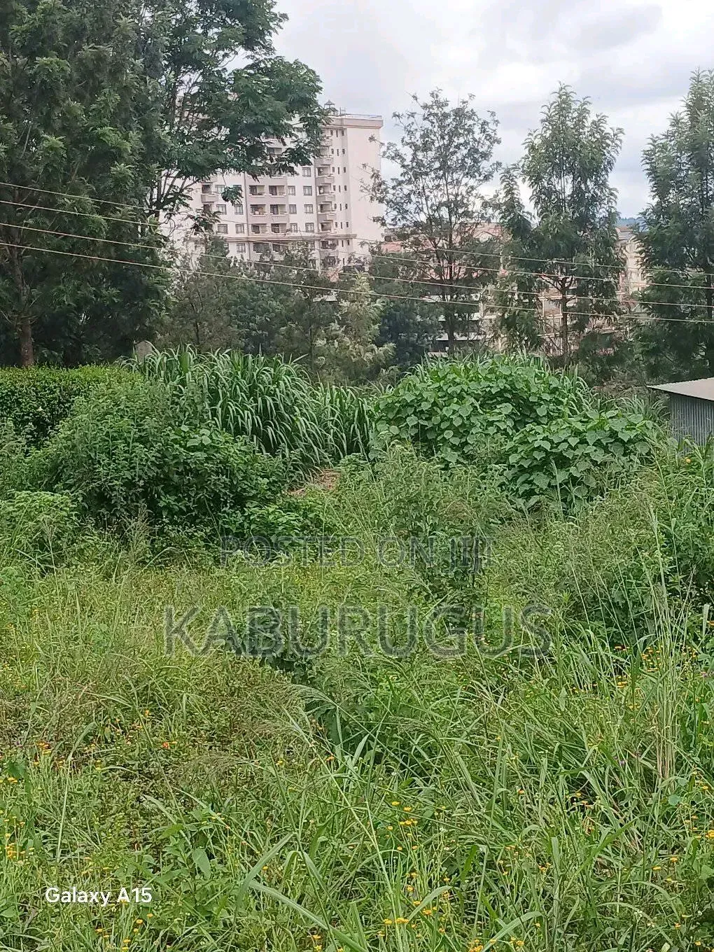 Ruaka Plot for Sale