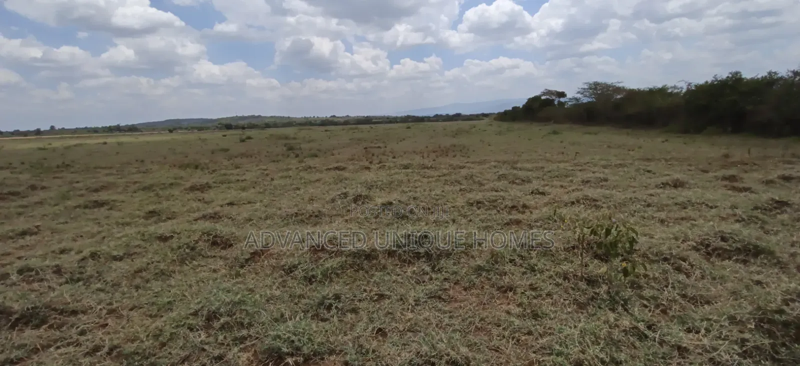 60 Acres Land for Sale – Mogotio, Baringo