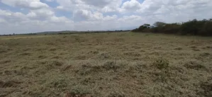 60 Acres Land for Sale – Mogotio, Baringo
