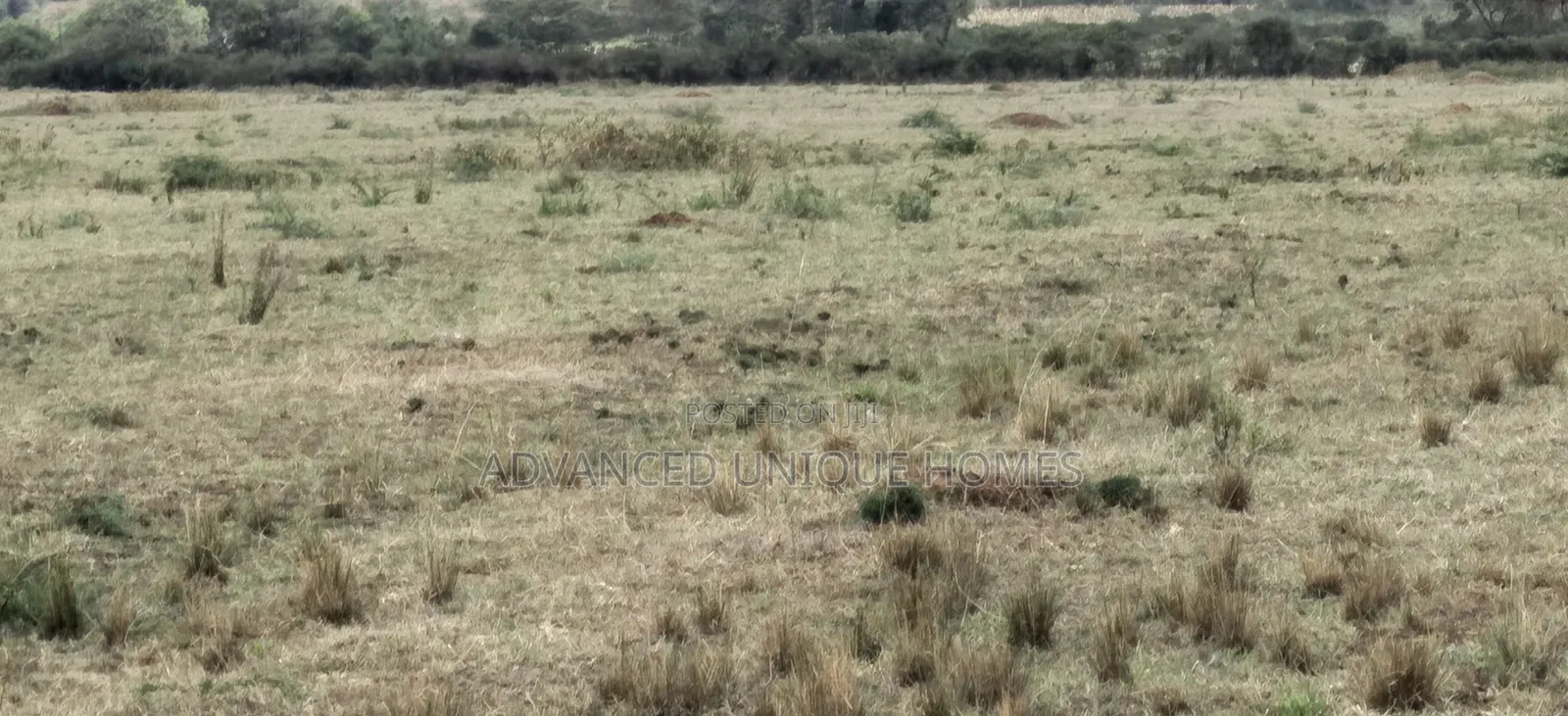 60 Acres Land for Sale – Mogotio, Baringo