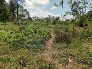 1 Acre for Quick Sell