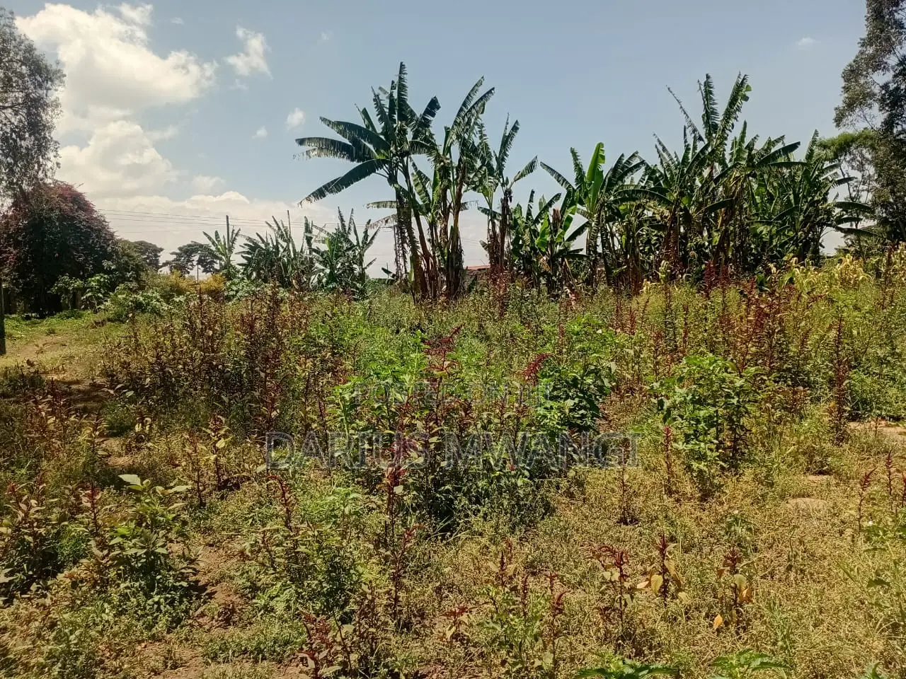 1 Acre for Quick Sell