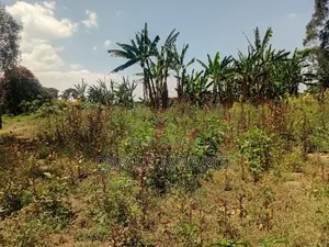 1 Acre for Quick Sell