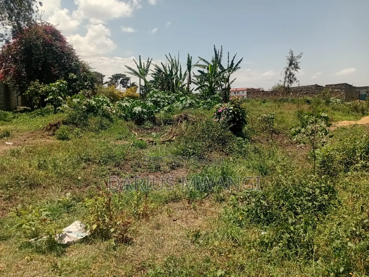 1 Acre for Quick Sell