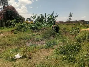 1 Acre for Quick Sell