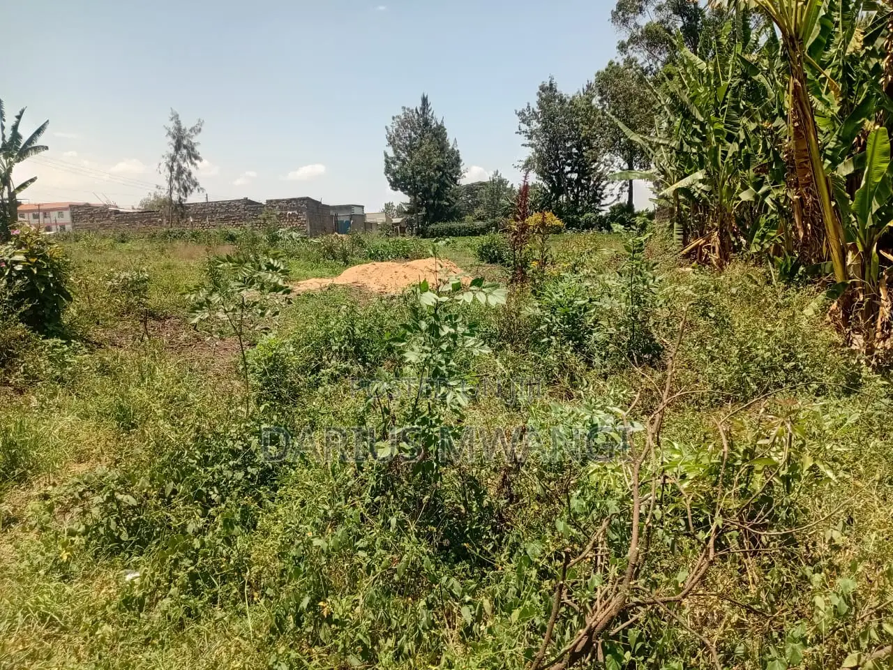 1 Acre for Quick Sell