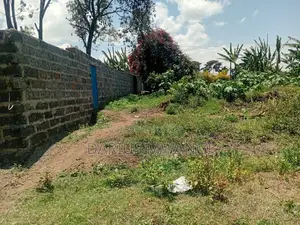 1 Acre for Quick Sell