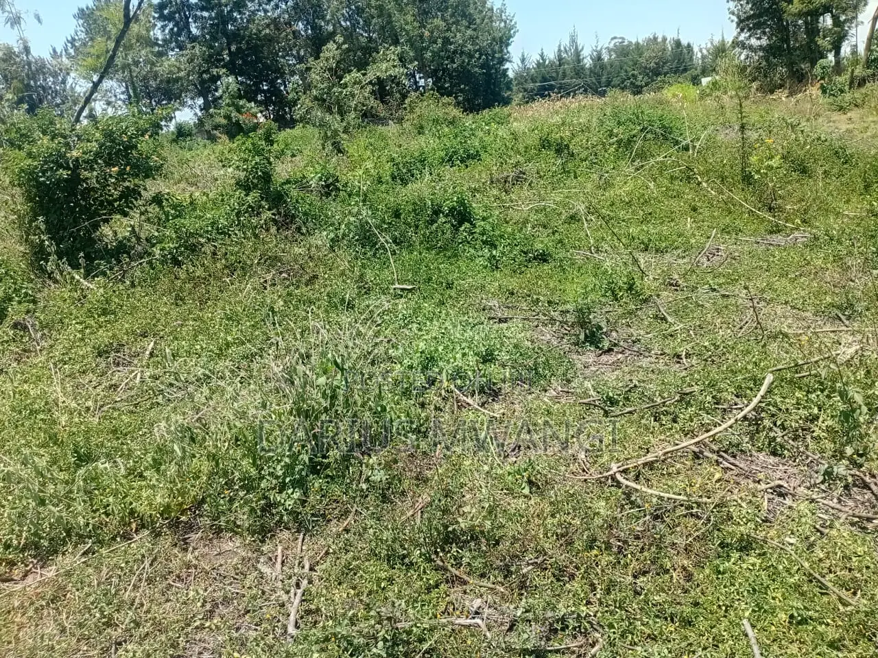 1 Acre for Quick Sell