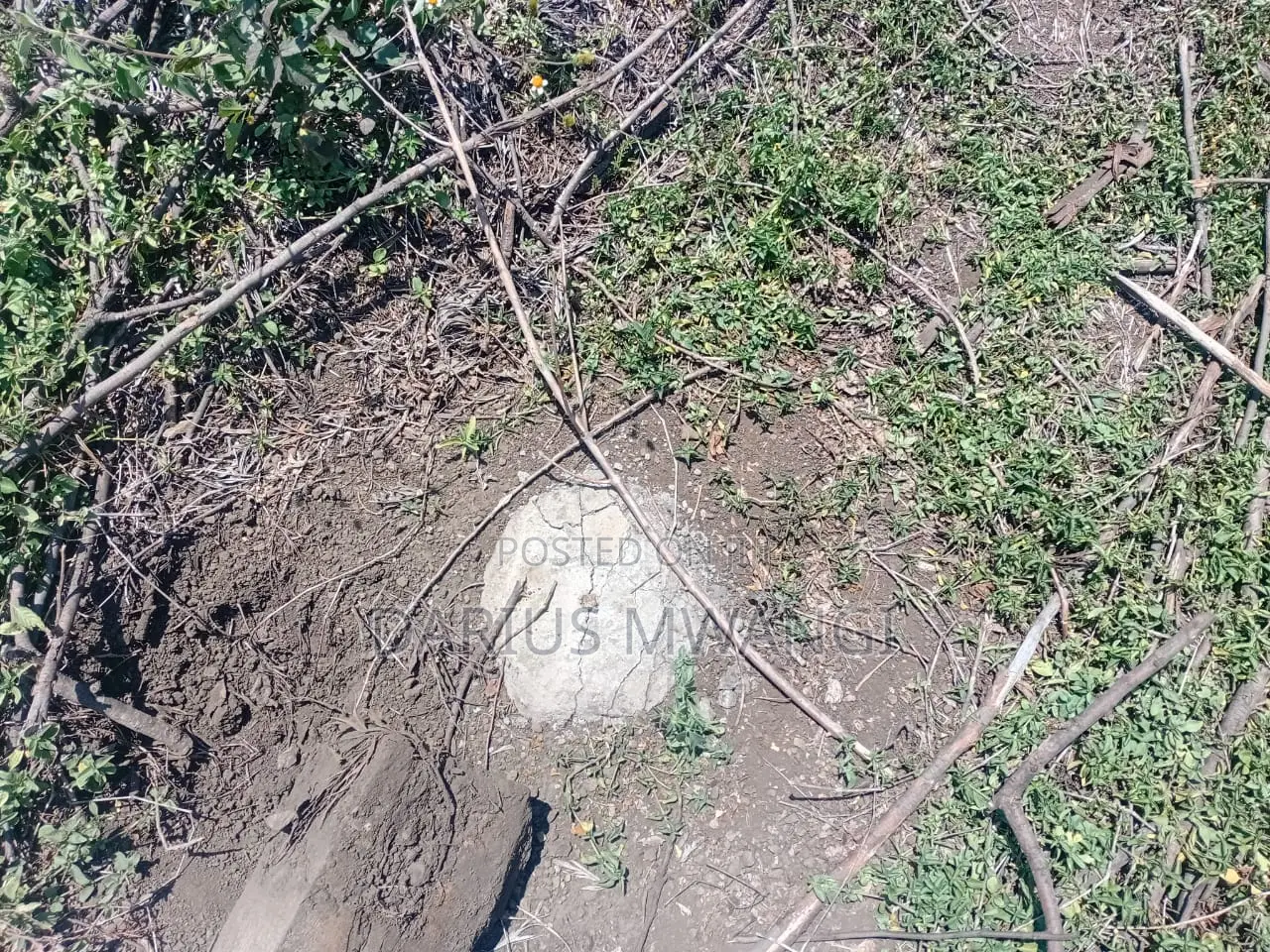 1 Acre for Quick Sell