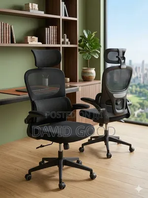 Ergonomics Office Seats