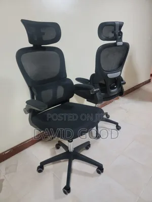 Ergonomics Office Seats