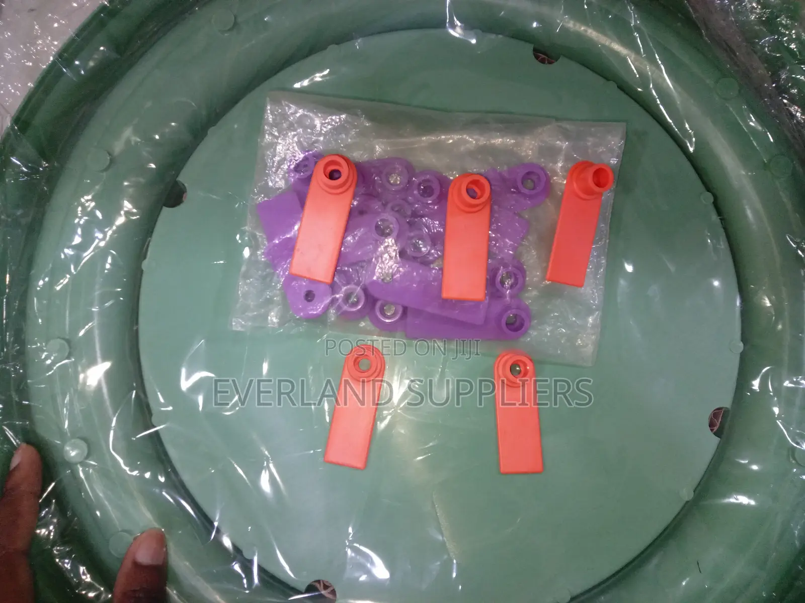 Ear Tags - Management Record Wholesale