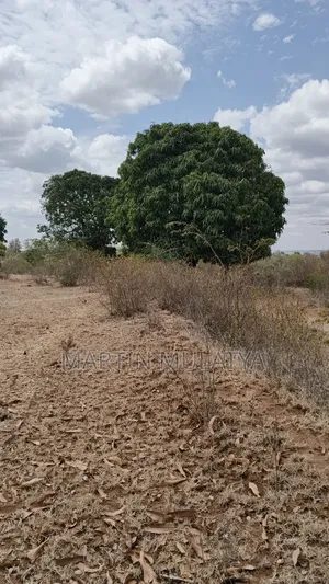 5 Acres on Sell Muthini