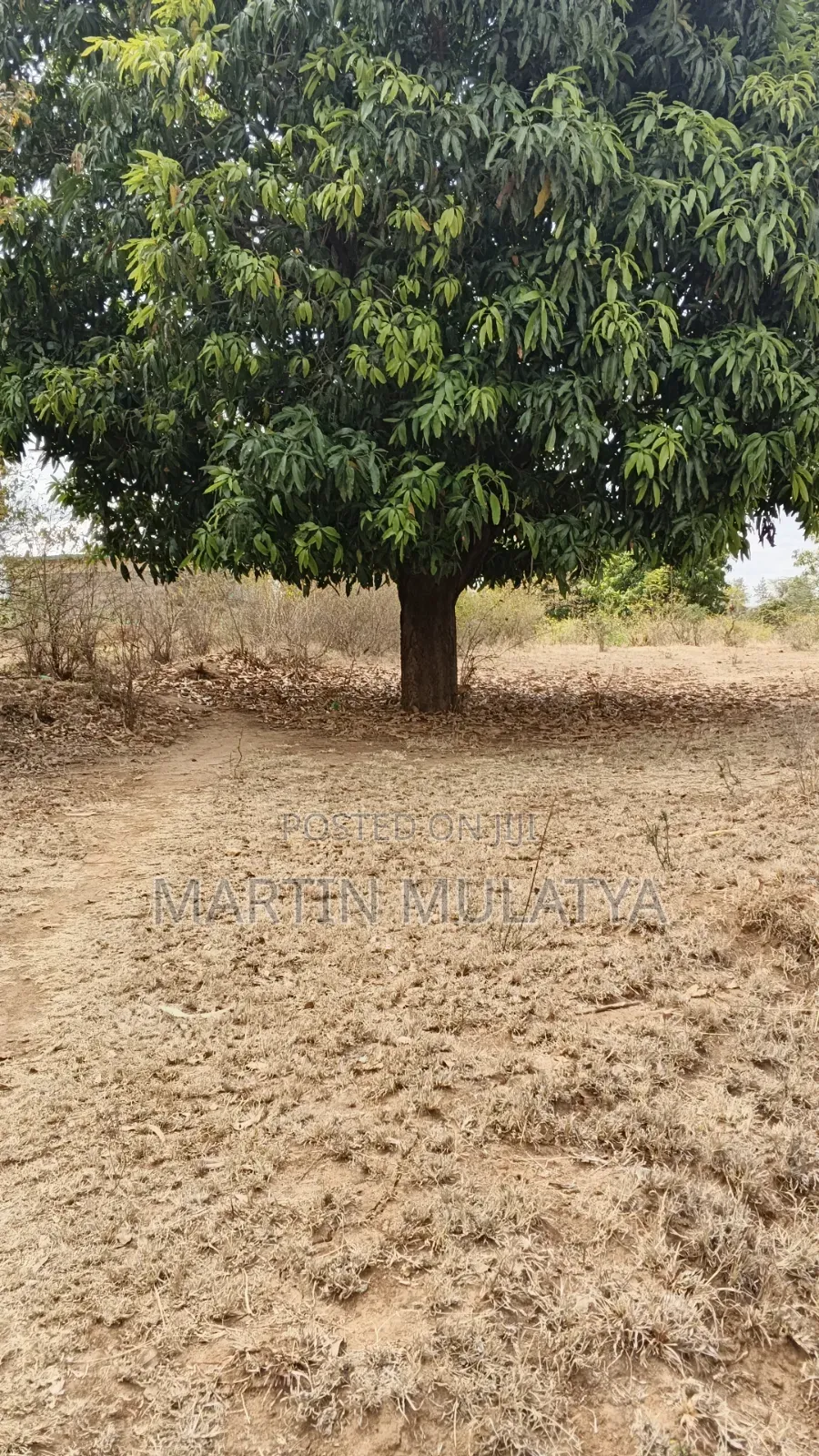 5 Acres on Sell Muthini