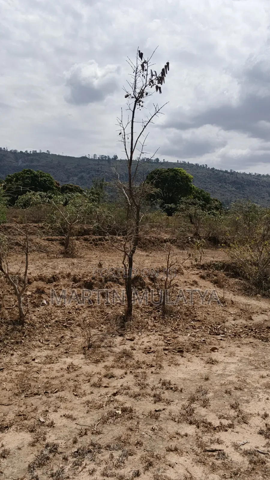 5 Acres on Sell Muthini