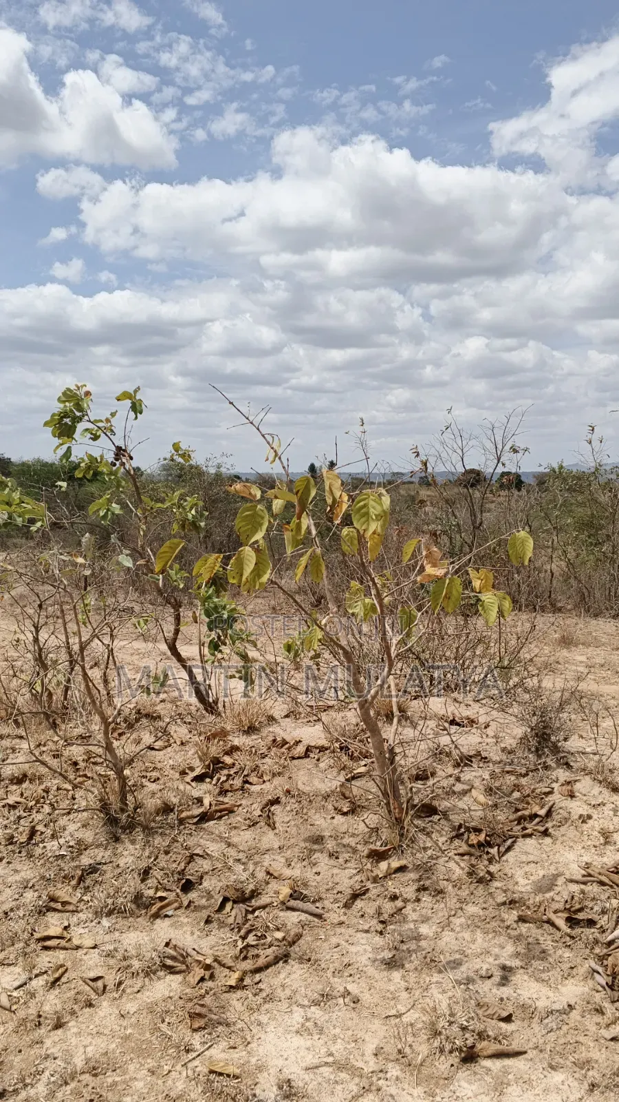 5 Acres on Sell Muthini