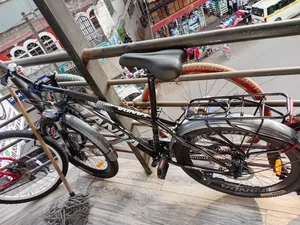 Tanda Size 24 Mountain Bike